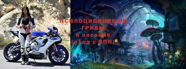 мяу мяу мука Алзамай