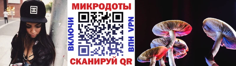 Псилоцибиновые грибы прущие грибы  OMG tor  Канаш 